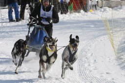 Lenk 2012 SM